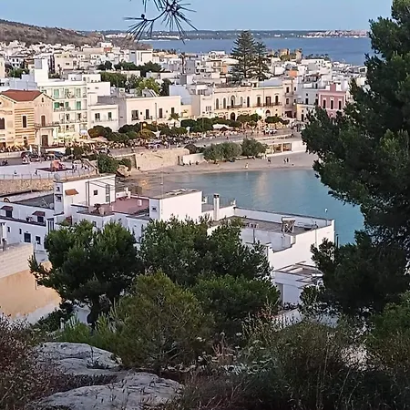 Roberto Vila Santa Maria al Bagno